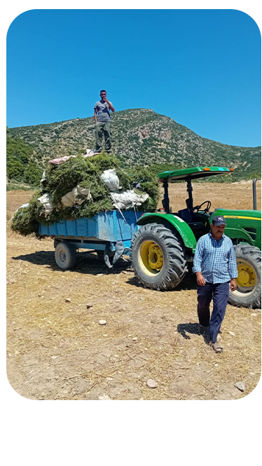 Tracteur et équipe sur le terrain