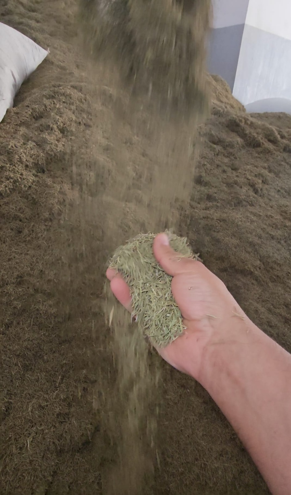 Dried aromatic herbs being processed — Herbs Vitality processing facility